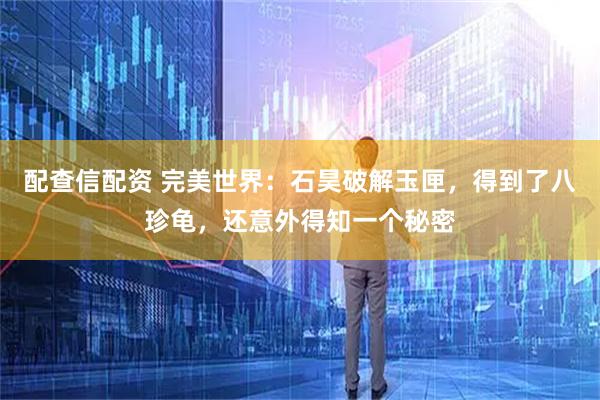 配查信配资 完美世界：石昊破解玉匣，得到了八珍龟，还意外得知一个秘密