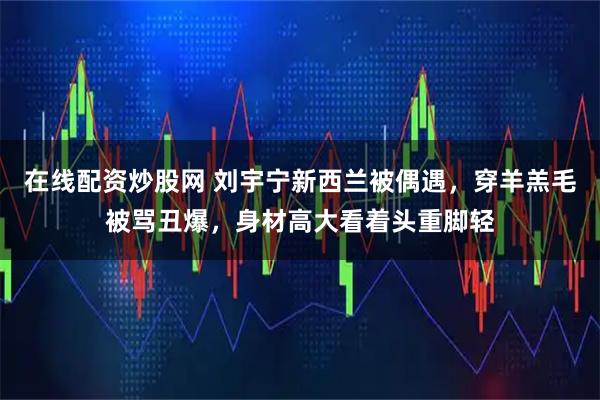 在线配资炒股网 刘宇宁新西兰被偶遇，穿羊羔毛被骂丑爆，身材高大看着头重脚轻
