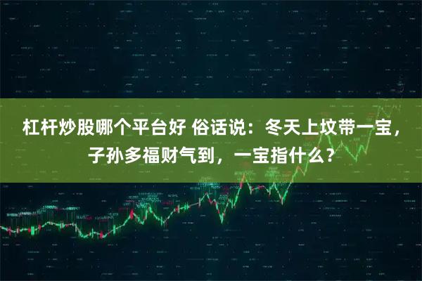 杠杆炒股哪个平台好 俗话说：冬天上坟带一宝，子孙多福财气到，一宝指什么？